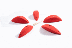 Pinches XL2