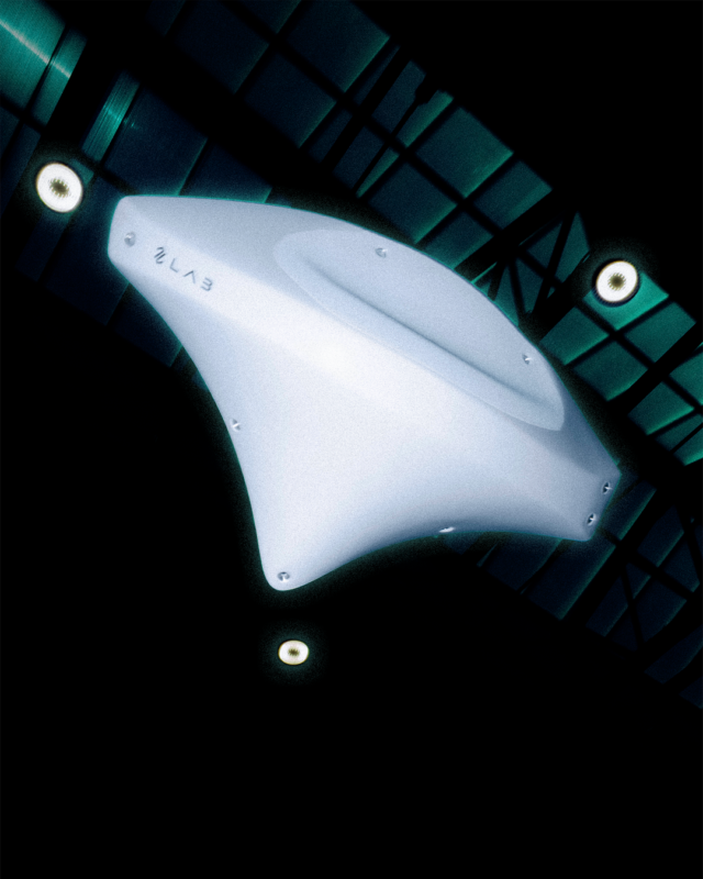 Manta, Anatomie d&rsquo;un Shape